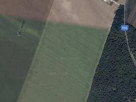 Teren agricol de vânzare, în Paulesti