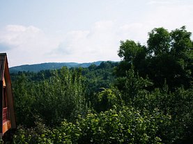 Vânzare casa de vacanta
