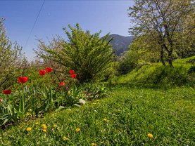 Apartament de vânzare 5 camere în Brasov, Schei