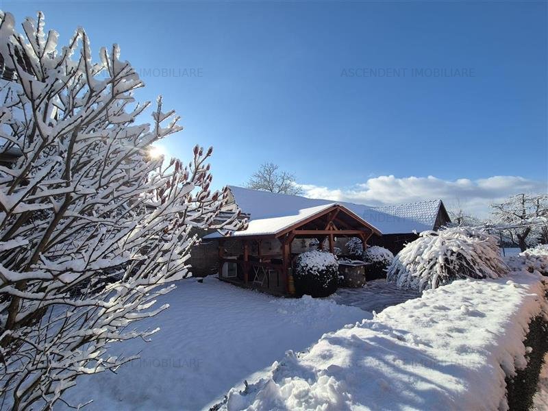 Imobil diferential, cu teren de 1.960 mp, din 2 corpuri casa, Central, Sanpetru