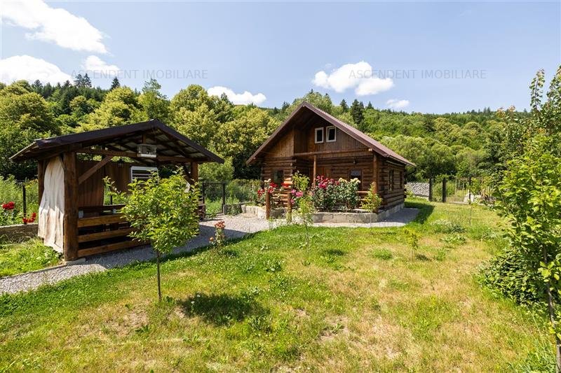 Casa intr - un Colt linistit al naturiii, Catrusa, Covasna