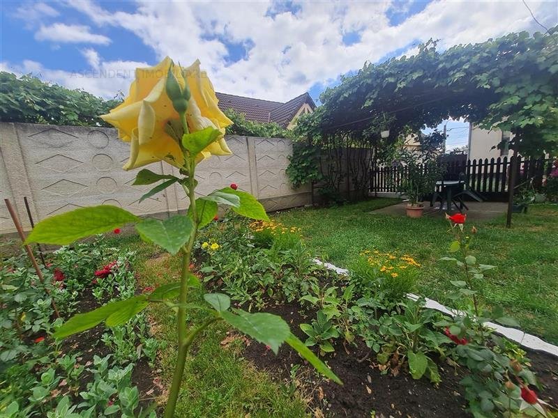 LIVE! Casa cu vatra traditionala, curte si gradina garaj, facilitati, Codlea, Br