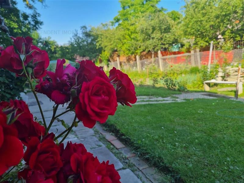 Gradina, livada si liniste - Casa pe 650 mp teren, Sacele, Brasov