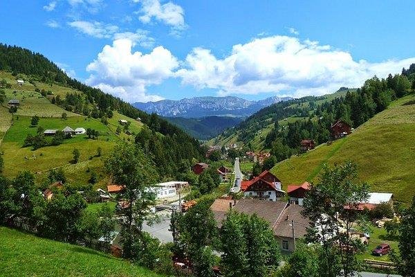 Rezidenta incadrata de 1.000 mp teren, Moieciu, Bran, Brasov, Brasov