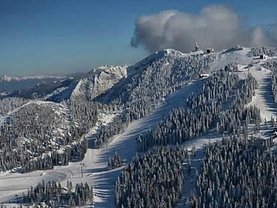 Teren padure de vânzare, în Poiana Braşov, zona Poiana Braşov