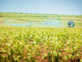 Teren agricol de vânzare, în Hălchiu, zona Central