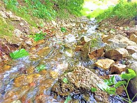Teren constructii de vânzare, în Braşov, zona Dârste