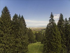 Teren faneata de vânzare în Sacele, Turches
