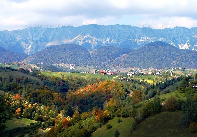 Incantare monata, apa curgatoare, documentie la zi, Bran, Brasov