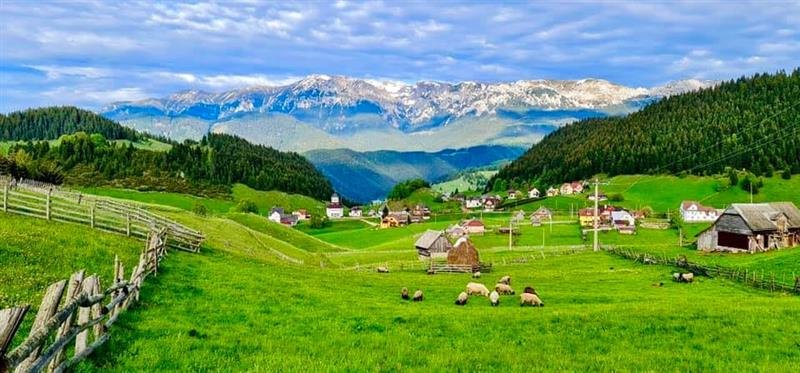 Scrie o poveste de ospitalitate, pe 2.350 mp teren, Pensiune in Bran-Fundata, Br