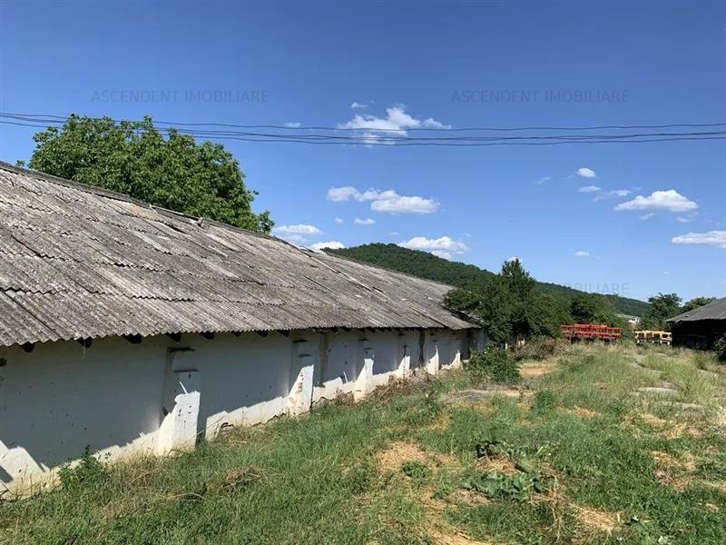 Spatiu comercial/Industrial multifunctional: productie, depozitare,logistica, Ra