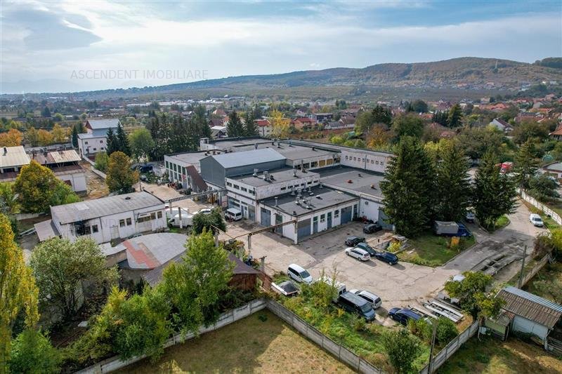 FILM! Ansamblu: Spatii comerciale, birouri, productie si similare, Sfantu Gheorg
