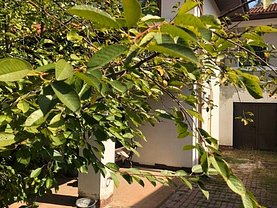 Casa de vânzare 4 camere, în Scorteni