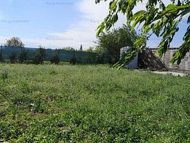 Teren constructii de vânzare, în Dărăşti-Vlaşca