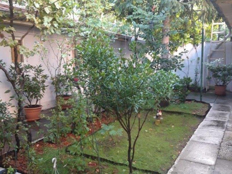 Vanzare 2 case | Turda - Ion Mihalache | teren 298 mp | stare foarte buna |