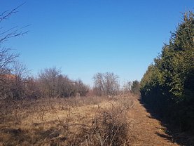 Teren constructii de vânzare, în Tunari