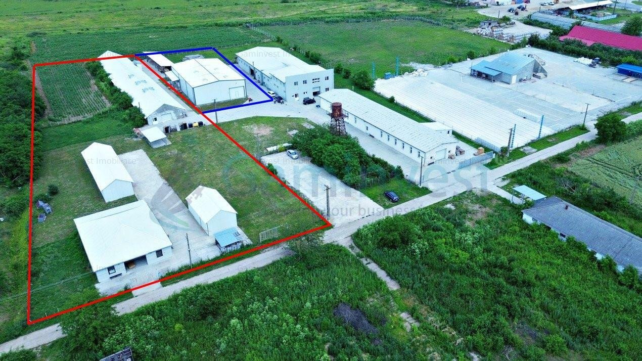 Hala de vanzare cu exclusivitate, la 24 km de Oradea, in Salard, Bihor V3708