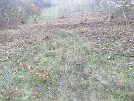 Teren agricol de vânzare în Dezmir