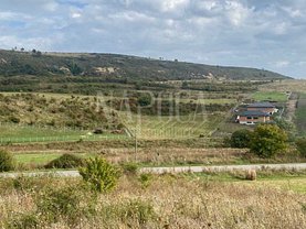 Teren agricol de vânzare, în Chinteni