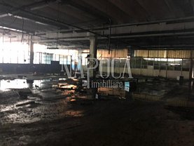 Închiriere spaţiu industrial