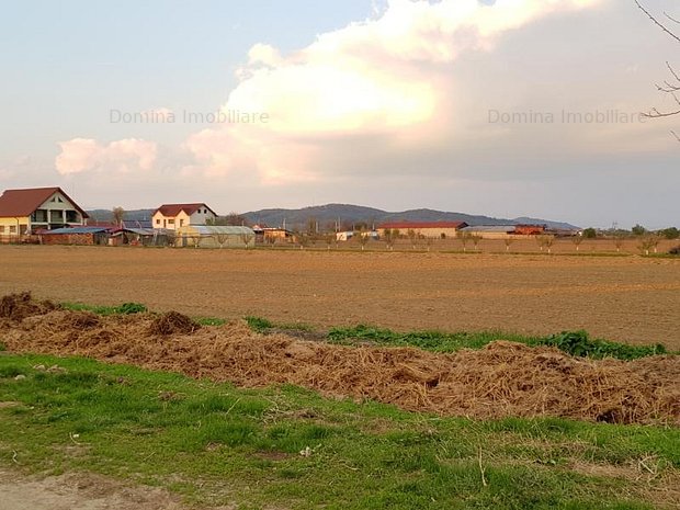 Vanzare teren intravilan situat in Comuna Balesti, sat Tamasesti ...