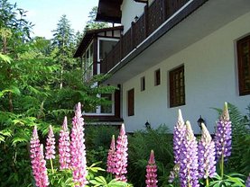 Vânzare hotel/pensiune în Busteni, Zamora