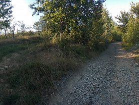 Teren livada de vânzare, în Baia Sprie, zona Nord-Est