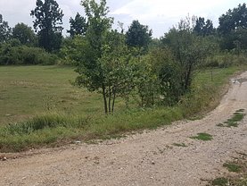 Teren faneata de vânzare, în Sacalaseni