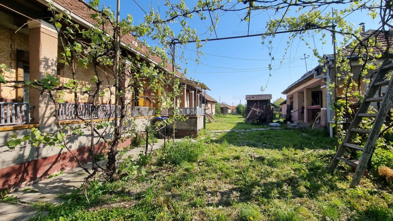 Casa in Odoreu cu gradina 12 ari