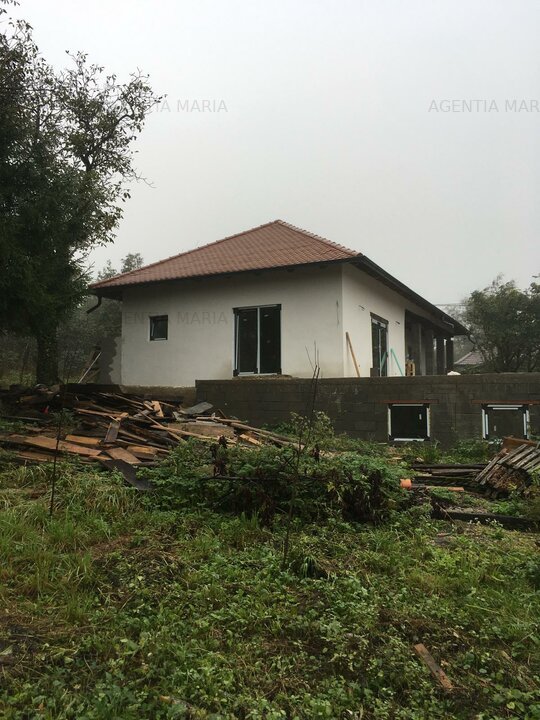 Casa in Tamaseni cu teren 45 arii- 45000 Euro