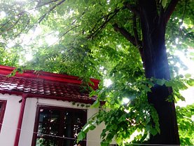Casa de vânzare 2 camere, în Bucureşti, zona Cişmigiu