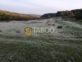 Teren constructii de vânzare, în Cisnadie, zona Central