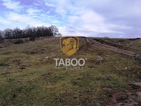 Teren agricol de vânzare, în Sibiu, zona Turnisor