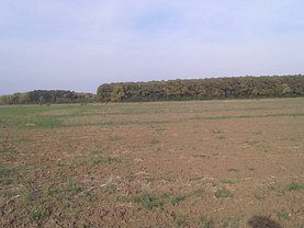Licitaţie teren agricol, în Buftea, zona Sud-Est