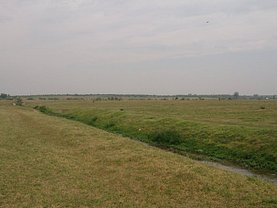 Licitaţie teren constructii, în Bratovoesti