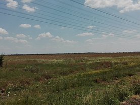 Licitaţie teren agricol, în Otopeni, zona Odai