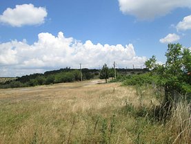 Licitaţie teren agricol, în Zalau, zona Sud