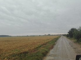 Licitaţie teren agricol, în Ostratu