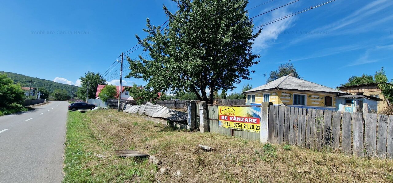 Casa+ teren 1.626 mp sat Zăpodia- Traian-stradal vedere către pădure