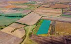 Teren de 4,5 Ha in Arad/ Strada Campurilor Teren de 4,5 Ha in Arad/ Strada Campurilor - imaginea 1