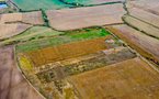 Teren de 4,5 Ha in Arad/ Strada Campurilor Teren de 4,5 Ha in Arad/ Strada Campurilor - imaginea 7