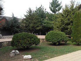 Casa de vânzare 9 camere, în Popesti-Leordeni