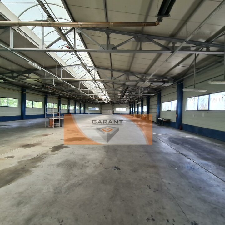 Hala, productie, depozit-distributie,Brico Depot, S=1500 mp, birouri, DN65B