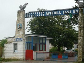 Spaţiu industrial
