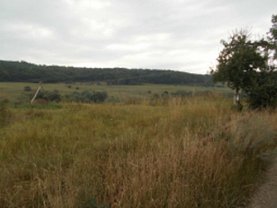 Teren agricol de vânzare în Baciu