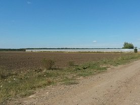 Licitaţie teren agricol, în Branesti