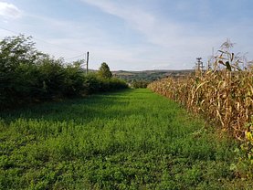 Teren agricol de vânzare în Bogdanesti