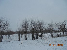 Teren construcţii de vânzare în Cerneteaz