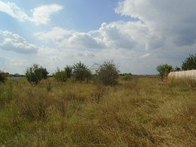 Licitaţie teren agricol, în Bucuresti, zona Fundeni