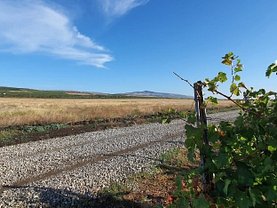 Vânzare teren investiţii în Gura Vadului